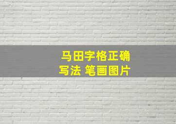 马田字格正确写法 笔画图片